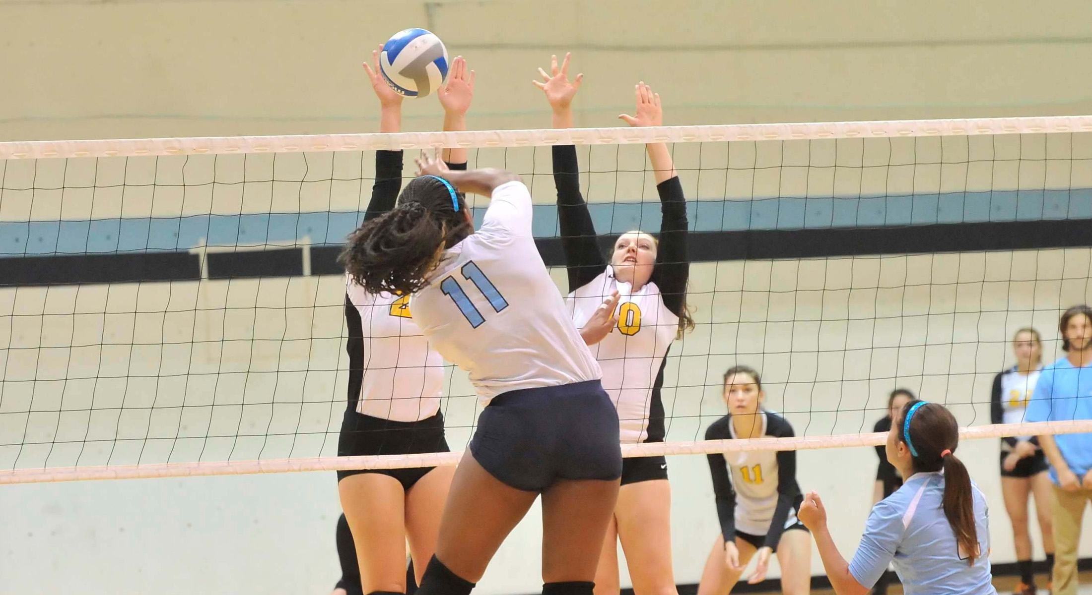 Women's Volleyball Powers Past AMCats