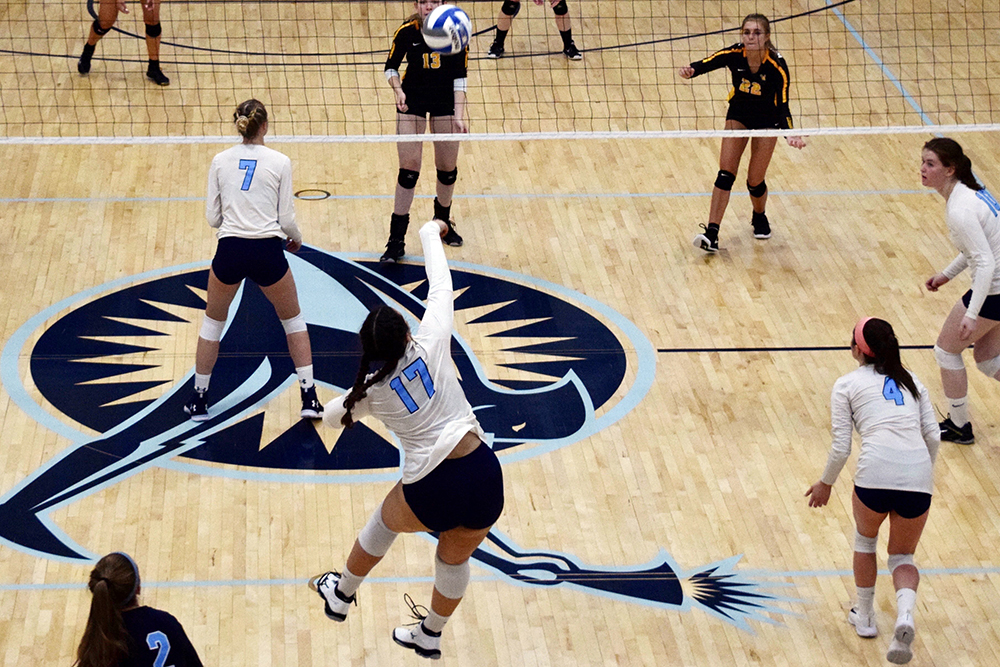 Wentworth pulls out win over Lasell Women’s Volleyball